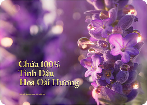 100% tinh dầu hoa oải hương