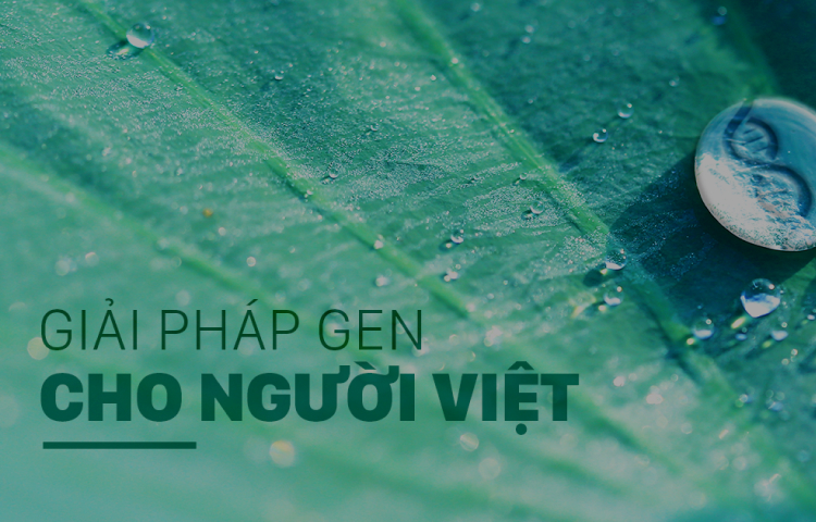 Giải pháp gen cho người việt