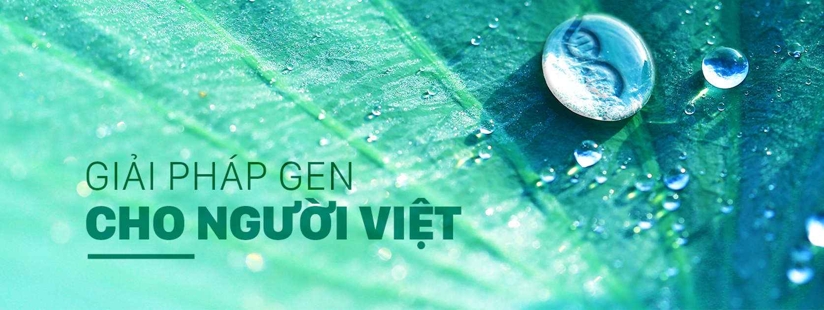 Giải pháp gen cho người việt