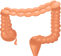 Đại Trực Tràng