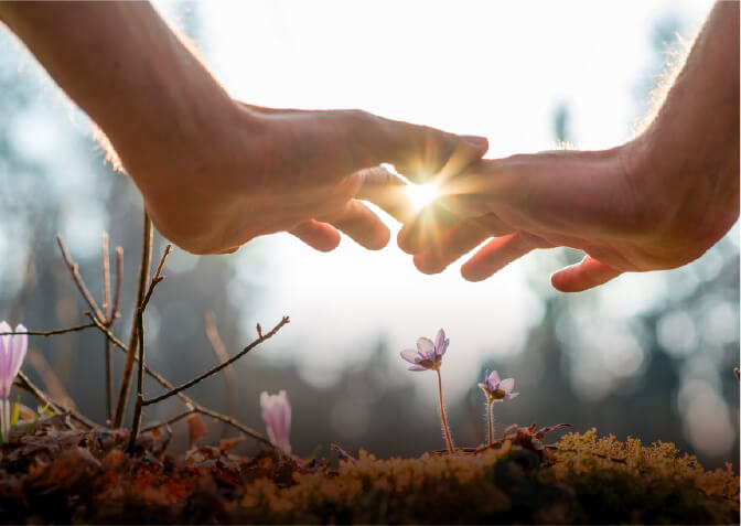 Praesent maximus nulla 
                                            eget sapien blandit